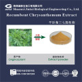 factory supply 10:1 20:1 Gynura procumbens extract